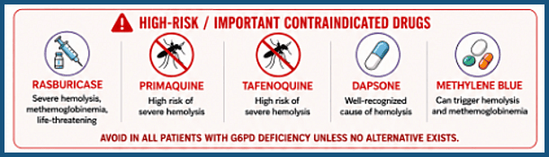 Infographic showing high-risk contraindicated medications in G6PD deficiency including rasburicase, primaquine, tafenoquine, dapsone, and methylene blue
