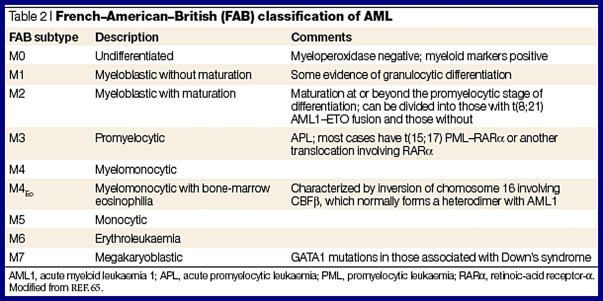 AMLClassification Ask Hematologist Understand Hematology