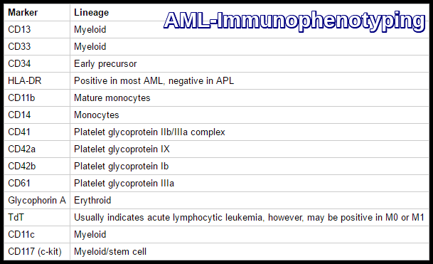 AML-Immunophenotyping