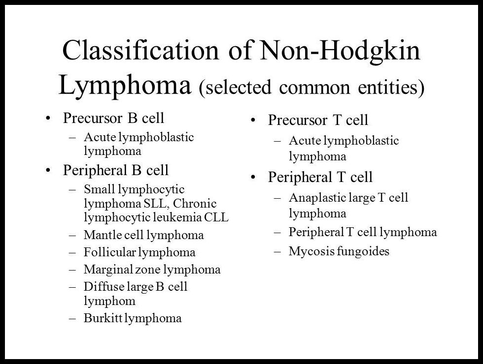 non hodgkins lymphoma cells