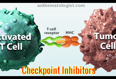 checkpoint-inhibitors