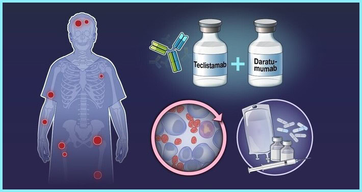 Teclistamab and daratumumab combination therapy for relapsed/refractory multiple myeloma showing BCMA targeting and plasma cell reduction