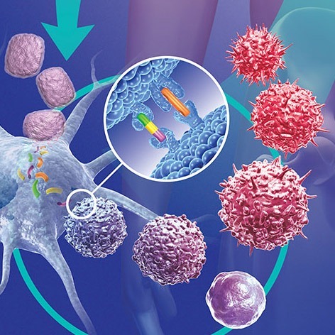 Principles of Cancer Therapy