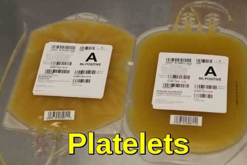 Image of Blood Platelets