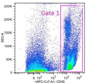 CD45+