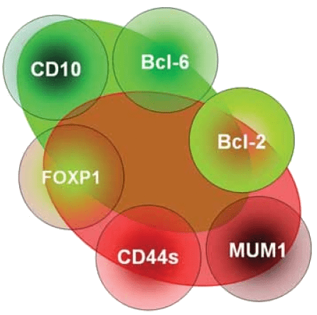 Scope of Hematology - CD Markers