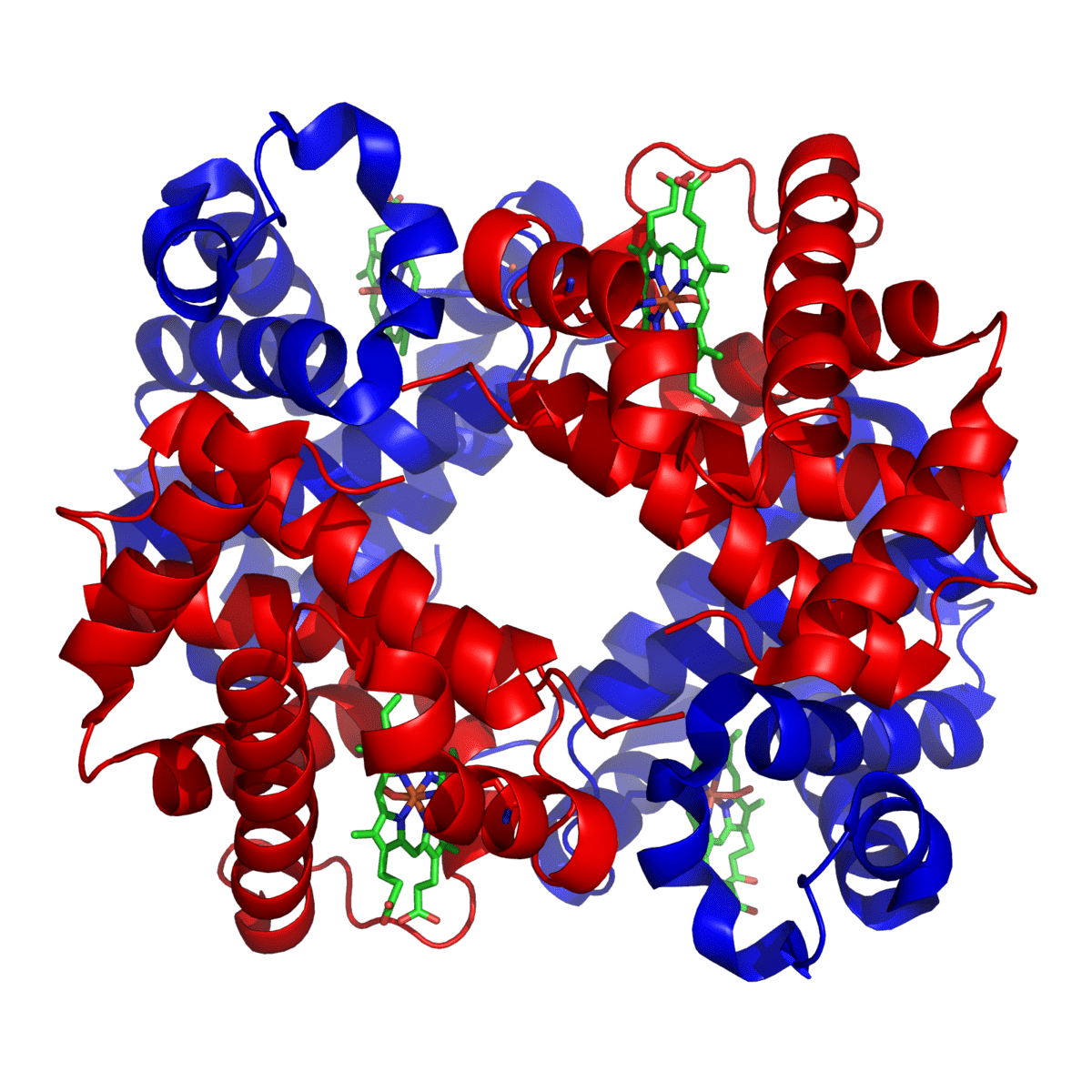 Abnormal Hemoglobins