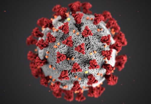 Coronavirus COVID-19 virus structure illustrating spike proteins and its effects on blood and coagulation system