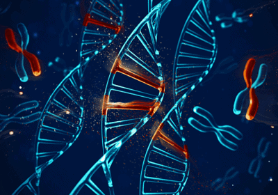 DNA double helix and stylized chromosomes representing molecular and cytogenetic studies in hematology.