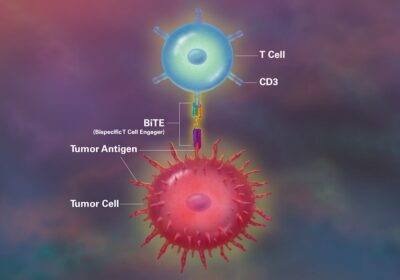 Diagram showing a bispecific T-cell engager bridging CD3 on a T cell to a tumor antigen on a tumor cell