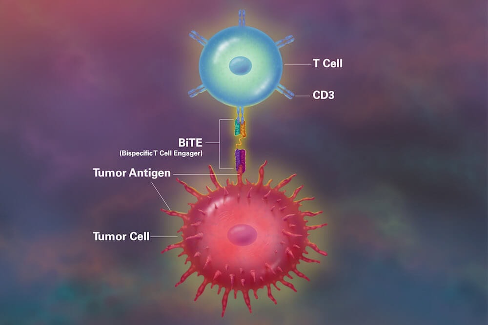 Diagram showing a bispecific T-cell engager bridging CD3 on a T cell to a tumor antigen on a tumor cell